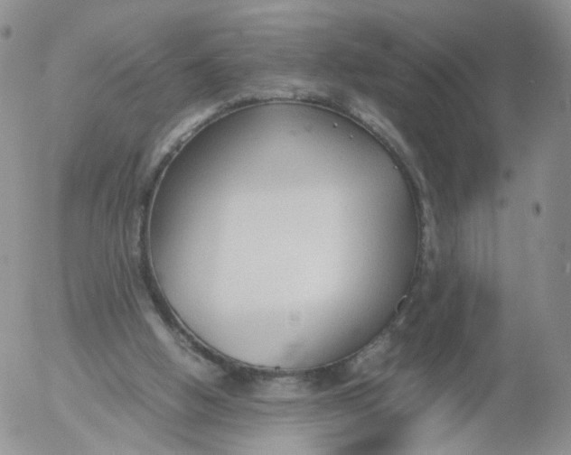 X0000053090058200508012043