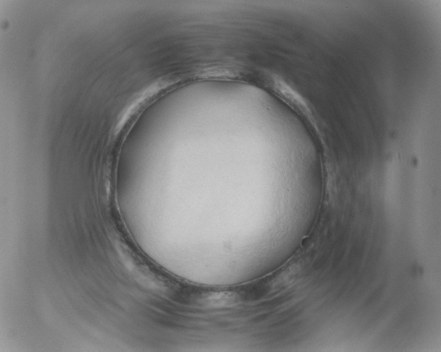 X0000053090059200508012043