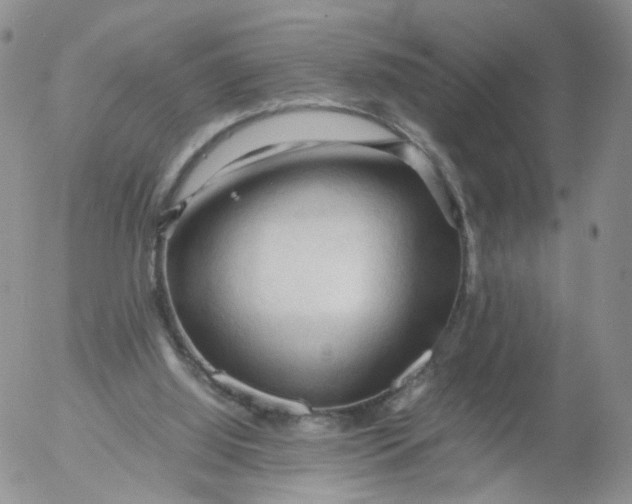 X0000053090060200508012043