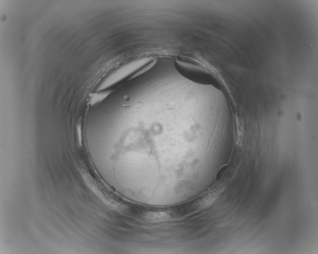 X0000053090061200508012043