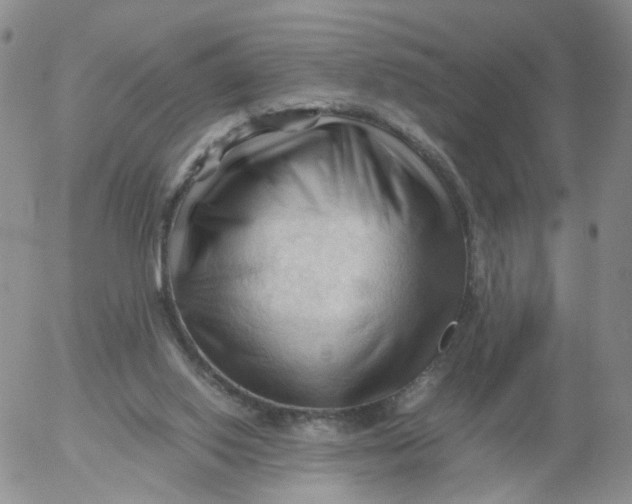 X0000053090062200508012043