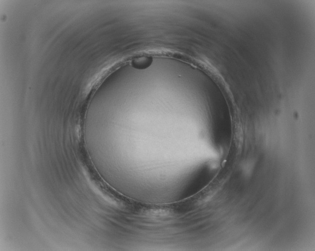 X0000053090063200508012043