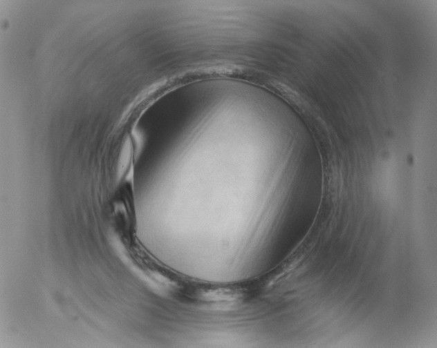 X0000053090064200508012043