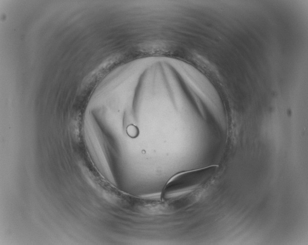 X0000053090065200508012043