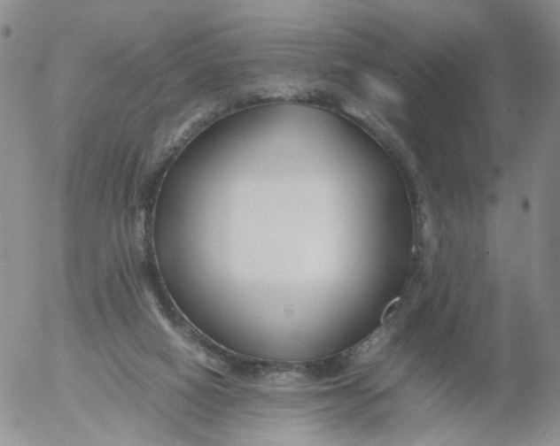 X0000053090066200508012043