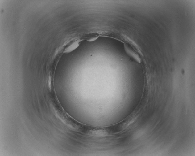 X0000053090067200508012043