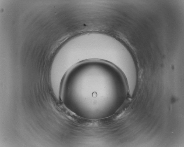 X0000053090068200508012043