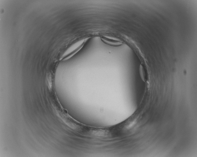 X0000053090069200508012043