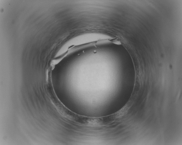 X0000053090070200508012043