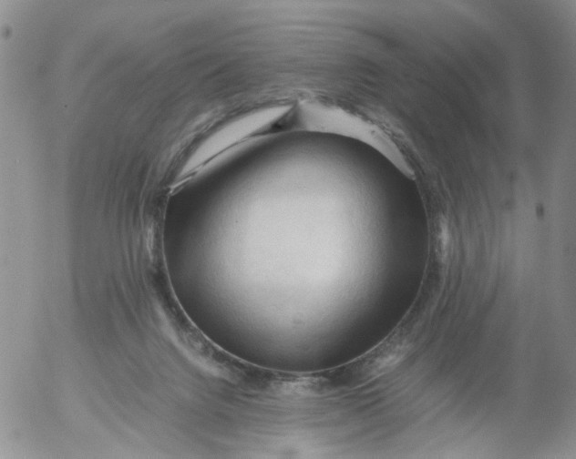 X0000053090072200508012043