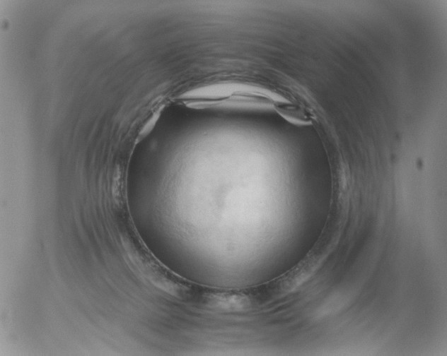 X0000053090073200508012043