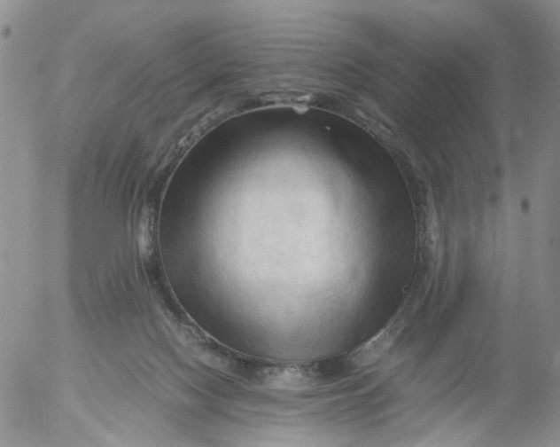 X0000053090074200508012043