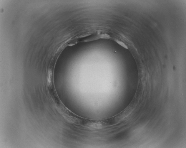 X0000053090075200508012043