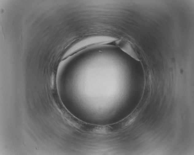 X0000053090076200508012043