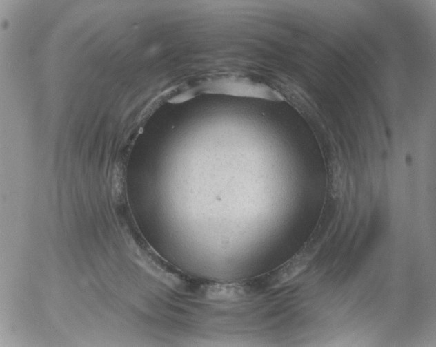 X0000053090077200508012043