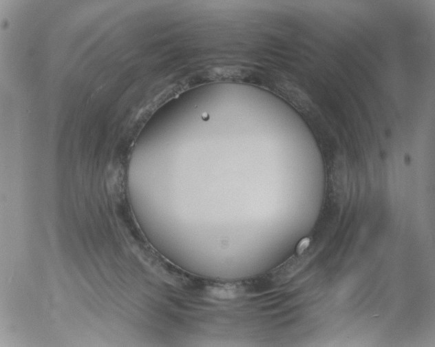 X0000053090079200508012043