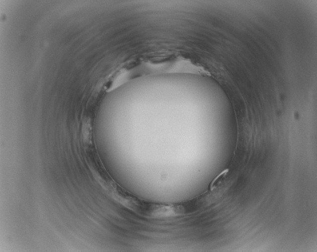 X0000053090083200508012044