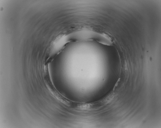 X0000053090084200508012044