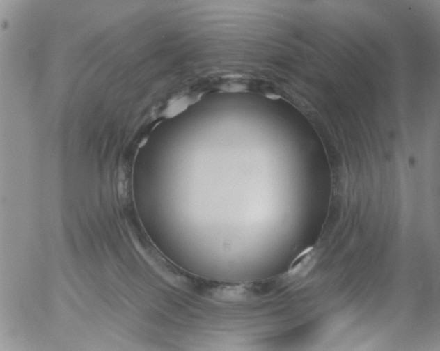 X0000053090086200508012044