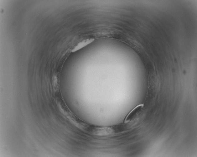 X0000053090087200508012044