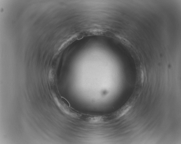 X0000053090088200508012044