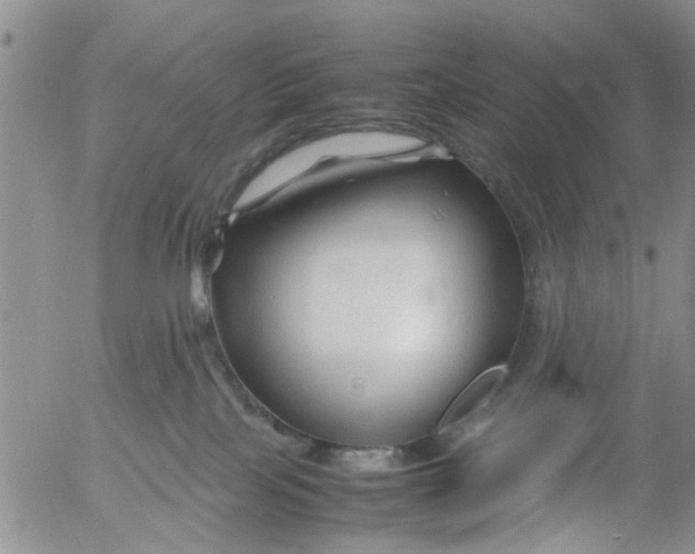 X0000053090089200508012044