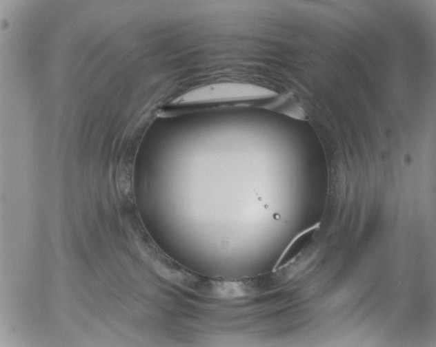 X0000053090091200508012044