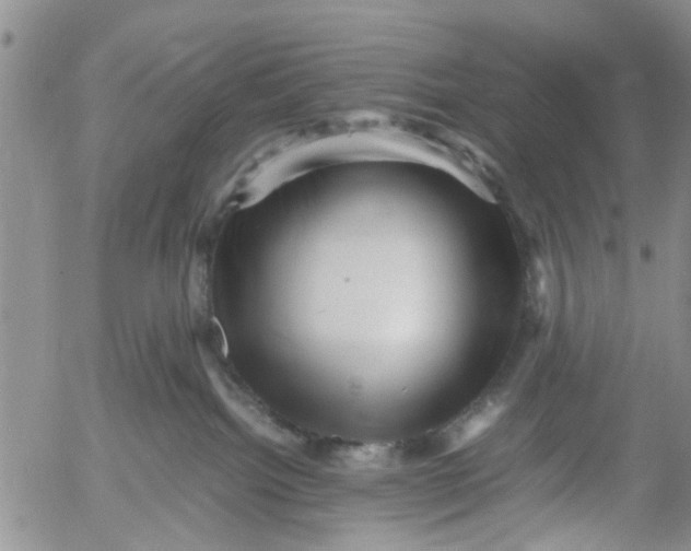 X0000053090092200508012044