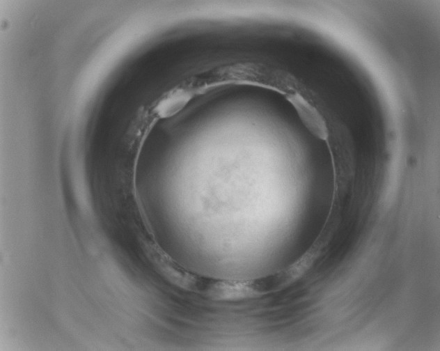 X0000053090093200508012044