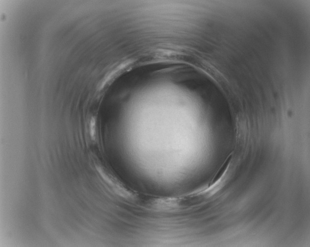 X0000053090094200508012044