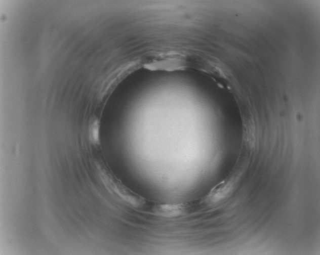 X0000053090095200508012044