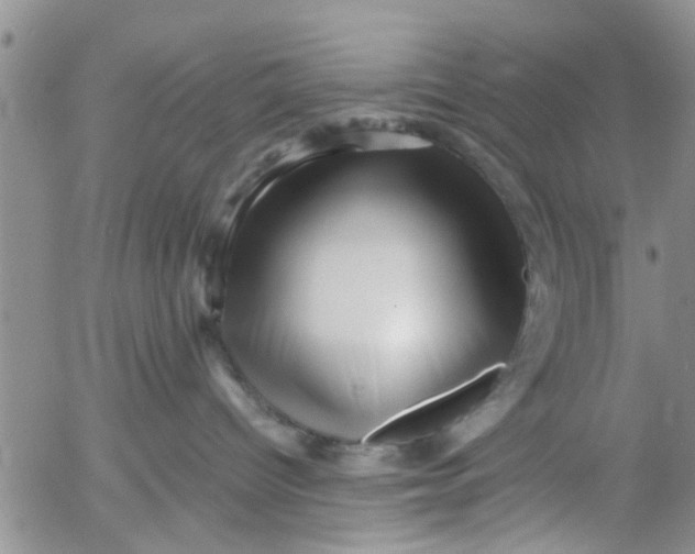 X0000053090096200508012044