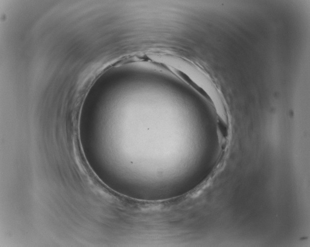 X0000053090097200508012043