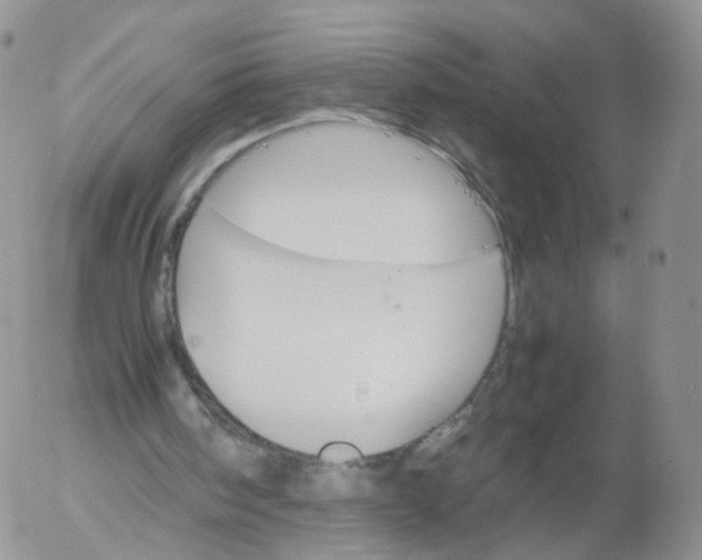 X0000053090098200508012043