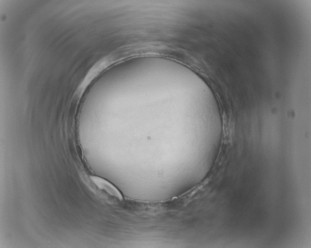 X0000053090099200508012043