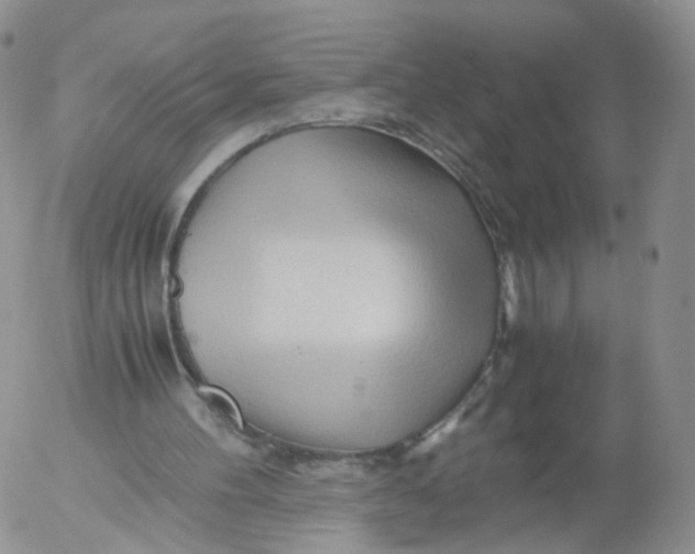 X0000053090100200508012043