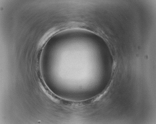 X0000053090101200508012043