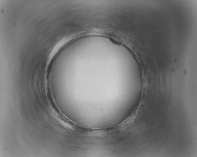 X0000053090102200508012043