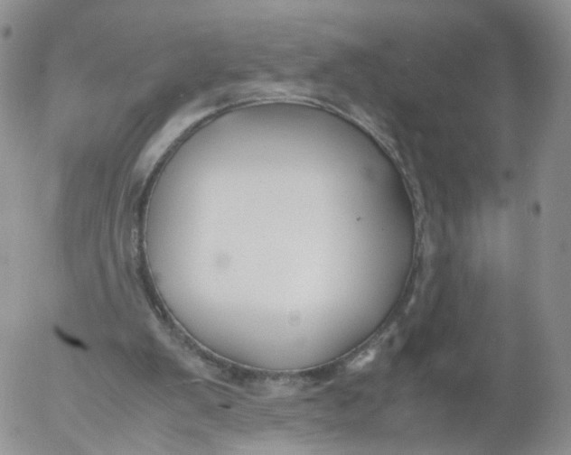 X0000053090103200508012043