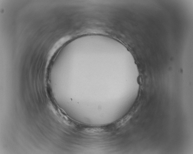 X0000053090104200508012043