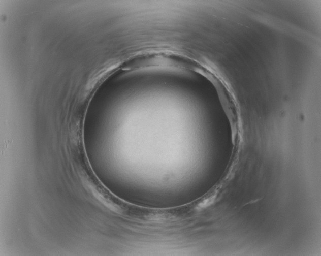 X0000053090105200508012043