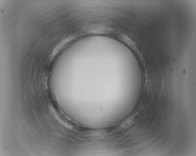 X0000053090106200508012043