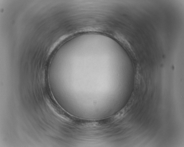 X0000053090108200508012043