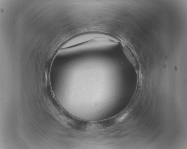 X0000053090109200508012043