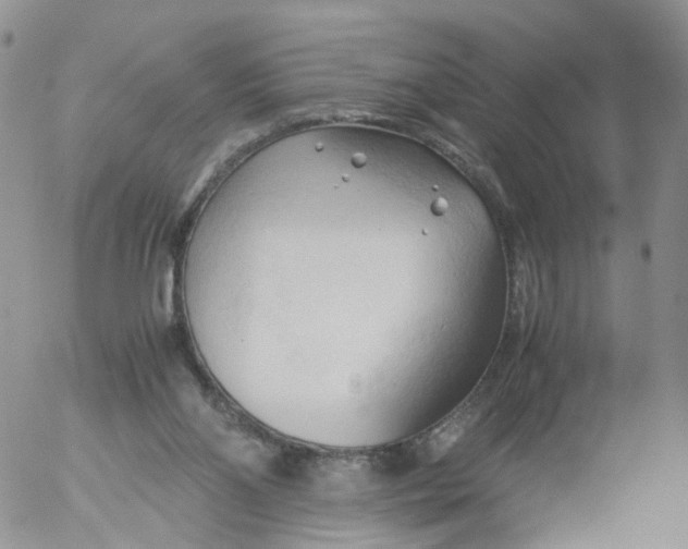 X0000053090110200508012043