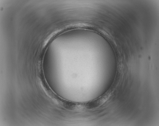 X0000053090111200508012043