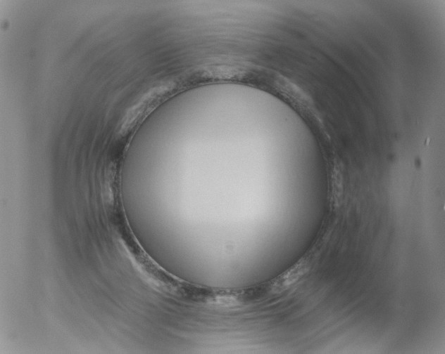 X0000053090114200508012043