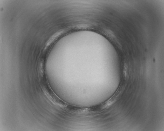 X0000053090116200508012043