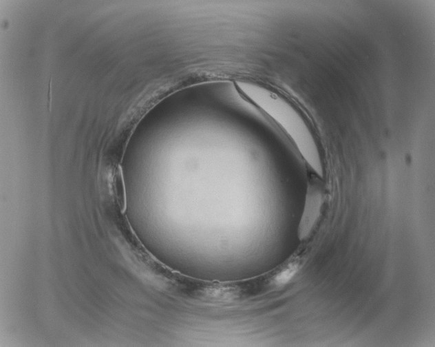 X0000053090117200508012043