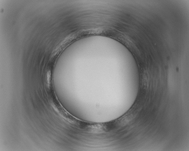 X0000053090118200508012043